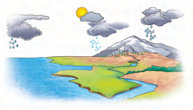 Fig. 1.4: The water cycle